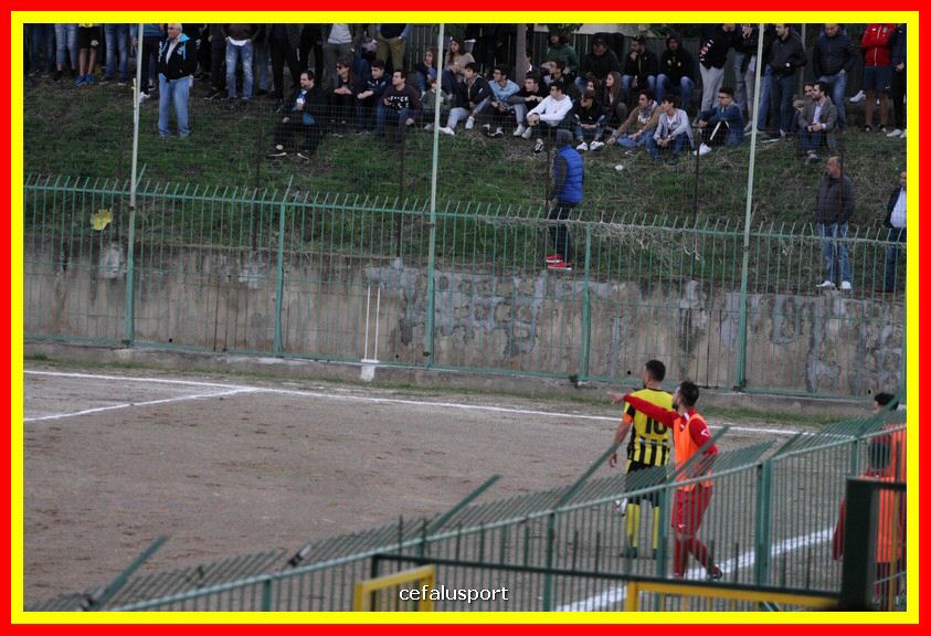 181111 Cepha_Milazzo 320_tn.JPG